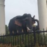 Profile picture of Vishal shrirang ghanvat