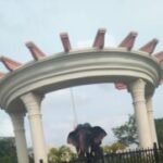 Profile picture of Raju Sawant